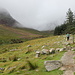 Im Aufstieg zum Slieve Donard - Mittlerweile verläuft der Weg am Waldrand.
