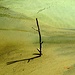 feinster Sandstrand am Ufer des Karakol-Flusses