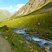 der bessere Weg für den Abstieg ins Karakol-Tal führt über diese "Brücke"