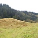 Stolzenberg-Gipfelkamm