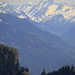 Blick über die Alpsteinkette zu den Vorarlberger Alpen (Österreich)