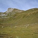 Grand Six Blanc, Point 2621 et... moutons