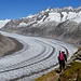 der obere Wanderweg entlang des Aletschgletschers ist ein Genuss.