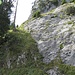 Oben links im Bild ist die tote Tanne zu sehen, die den Anfang des Abstiegs markiert. Danach folgt man dem Rand der Felsplatte durch steiles Gras.