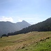 nahe der Pölcheralm