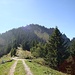 am Feichtecksattel