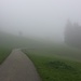 Vor Alpenau immer noch Nebel...
