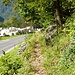 Auf dem Trasse der ehemaligen Maggia-Bahn führt der Wanderweg entlang der Kantonsstrasse....