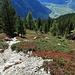 schon herbstliche Farben über dem Tauferer Tal