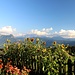 Gartenblick