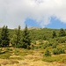 Blick zum Gipfel