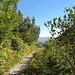 Die milde Nachmittagssonne gießt herbstliche Farben über die Landschaft, als ich Richtung Pradel und zum Val Biole zurücklaufe und meine lange Bergtour beende.