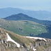 Alp Sigel, das Blumenparadies des Alpsteins