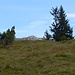 Kurz vorm Schönjöchlgipfel zeigt sich zum ersten Mal das Gipfelkreuz.