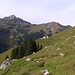 Diesnerbergalpe mit Wangspitze und Matonakopf