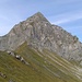 Feuerstein vom Mutterwangjoch, leichten Anstieg gibt es keinen auf den Feuerstein.