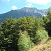 Blick zurück zum Pizzo Ragno von La Motta aus. Wir haben es bis knapp unter den links vom Gipfel erkennbaren Vorgipfel geschafft, ca. 1950 m)