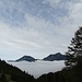 Das Nebelmeer im Obertoggenburg