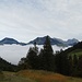 Der Alpstein taucht auf.