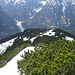 S-Hang der Scheinbergspitze mit Latschen und Schnee