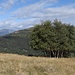 Panorama vom Buzzasca - vom Monte Tamaro bis nach Isone