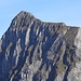 Die Linie der Chammegg folgt der imposanten Diagonalen beim Gipfelpunkt Gauschla. 
Ein weiteres [http://www.hikr.org/gallery/photo58484.html?post_id=7356#1 Fototopo] aus anderer Perspektive. 
Foto aufgenommen vom Gonzen