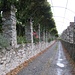Il viale d'accesso alla Cella di San Michele a Viverone.