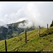 zwischen Viertalalm und Sommertor, Kitzbühler Alpen, Österreich
