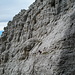 Felsbänder oft handbreit schmal und paar hundert Meter senkrecht nach oben und unten