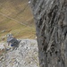 bevor der Klettersteig in die Gipfelmauer zweigt, ein letzter Tiefblick auf die Carschina-Hütte