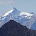 Saanenländer Matterhorn = Oldenhorn