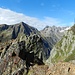 Gipfelblick über das tief eingeschnittene Gorneren Richtung Schafschijen, Mies-, Spitzplanggen- und Bächenstock;
ganz rechts: Sicherungsseile des Gipfelkreuzes