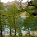 Lago Tremorgio - lieblicher See, angenehm zu erreichen