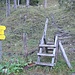 Nicht zu übersehen - der beschilderte Abzweig des Schaflsteiges hinauf zur Mayrbergscharte, etwa 90 Minuten nach Abmarsch vom Holzplatz.