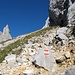 Immer gut markiert, führt der Schaflsteig zum weithin sichtbaren, namenlosen Felszacken unmittelbar unter der Stadelwand hinauf.