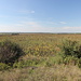 Bei Советское / Sowjetskoje - Ausblick von der höchsten Erhebung Pridnestrowiens in annähernd westliche Richtung.