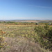 Bei Советское / Sowjetskoje - Ausblick von der höchsten Erhebung Pridnestrowiens in annähernd östliche Richtung. Zu erahnen ist, wie das Gelände in das Tal des Flüsschens Окна / Okna abfällt. Im Hintergrund befindet sich ukrainisches Territorium.