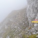 Abzweig vom Gildensteig hinauf zur Regalmwand von hier ca. 30 Minuten zum Gipfel