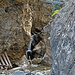 Schöpfe 2