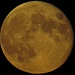Der gelbe Mond beim Aufgang einen Tag nach Vollmond.<br /><br />La luna gialla al sorgere un giorno dopo la luna piena.