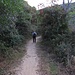 Zwischen Bäumen und Macchia führt der Weg nach oben.<br /><br />Tra alberi e macchia il sentiero conduce in alto.