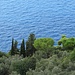 Tiefblaues Meer, Föhren und Olivenbäume.