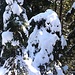 Teilweise schon viel Schnee für Anfang Oktober