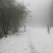 <b>La neve è molto bagnata e pesante. Al ponticello sulla Breggia nascente seguo la traccia di sentiero verso Barco dei Montoni (1350 m).</b>