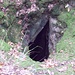 Einsturzloch der Schwedenhöhle
