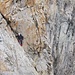 nach der Österreicherplatte