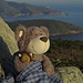 Winterbären-Stillleben in der Abendsonne auf Elba<br /><br />Natura morta con un Winterbär nel sole di sera sull`Elba<br /><br />