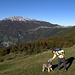 la bella e la.....bestiolina !