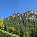 Felswand zwischen Niederrickenbach und Musenalp