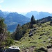schöner Bergweg Richtung Ober Furggelen